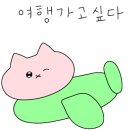 바와스파 이미지