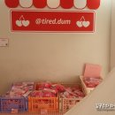 피곤한덤덤tired.dum 이미지
