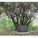성주초등학교 - 창원시 성산구 | 성주초등학교