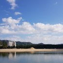 진월면 선소정류장 이미지