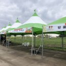 세도 가회리 장군제 이미지