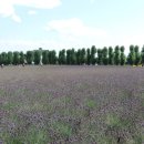 국철농장 이미지