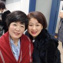 인셀덤예