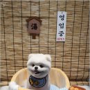 댕욕탕 이미지