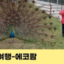 에코팜식당 - 화성시 8공구 | 에코팜식당