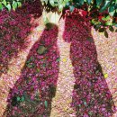 김태진농장 이미지