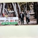 양구산채천국
