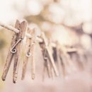 맑은옷세탁 이미지