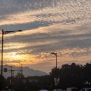 주식회사 백야 이미지