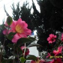 삼무공원 이미지