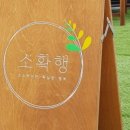 카페소확행 이미지