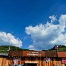 제로그램 | 제로그램 백패커스 데이(ZEROGRAM backpacker's day)후기