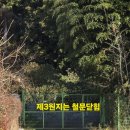 삼향-4 이미지