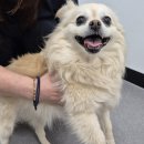 화령북4길 이미지