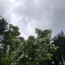 자연밸리 관광농원 이미지