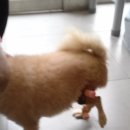 건국 동물병원 이미지