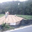 정생1리 이미지