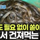 극한직업 - 물뱀 사냥꾼 이미지