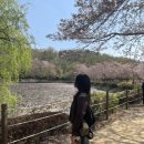 네네치킨(서상점) | ☻4-1 Life is 아름다운 갤럭시