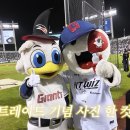 각자 두상에 어울리는 모자가 있구나 이미지