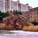 허준테마거리 이미지