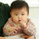 치악산산나물축제 뉴스1