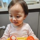 양주수출딸기 | 양주 할인매장 리퍼브 반품샵 추천하는 불랄리랜드 식품코너