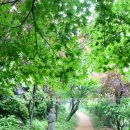 정원산책 카페 이미지