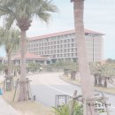 오키나와 아기랑 숙소 하얏트 리젠시 세라가키 하버뷰 3박 후기