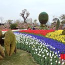 바다정원 이미지