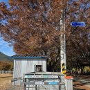 자연발생유원지해수욕장화장실 | 경남 사천 우천자연발생유원지(캠핑장 텐트 차박 취사가능) 후기