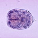 용강동물병원 이미지