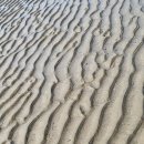 개항박물관 이미지