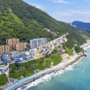 송정행정사 이미지