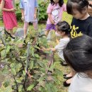 아름그루 유치원 이미지