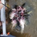 백곡낚시터 이미지