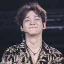 에이네이션 이미지