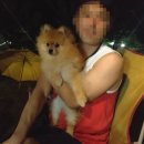 산새소리민박 이미지