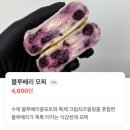 [서산 제제 딜라잇] 서산 모찌빵 / 디저트 맛집 제제 딜라잇