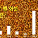 벌화분의 효능 먹는 꿀벌화분 먹는방법 이미지