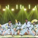 주니어7태권도 이미지