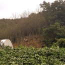 농장염소탕 이미지