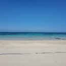 구좌 해안도로 이미지