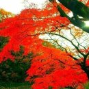 스마일 행정사 사무소 이미지