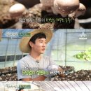 농부삼촌