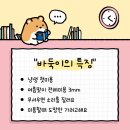 고양이미용실 나른하냥 이미지