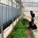 재수농장 이미지