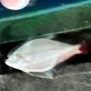 대천사륜바이크