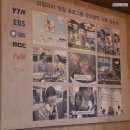 상록수 스포츠존 | 안산본오동맛집 야들야들한보약족발 상록수점 대왕꽃문어 족발 맛있게 먹는 법