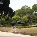 역사 평생학습강사 양성과정 이미지